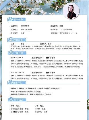 董事会秘书简历wps模板