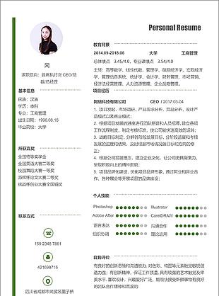 简约首席执行官ceo个人简历