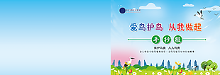 保护鸟类人人有责主题手抄报封面