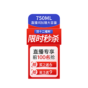限时秒杀直播间贴片挂件主图标签