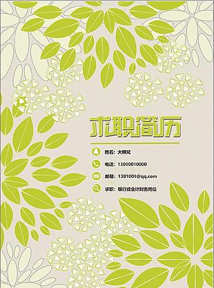 保险产品开发项目策划简历案例