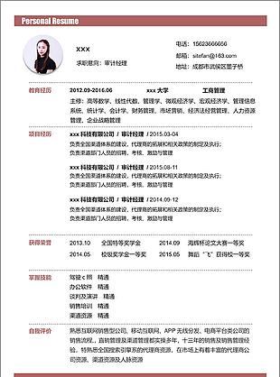 审计经理简约风个人简历范本