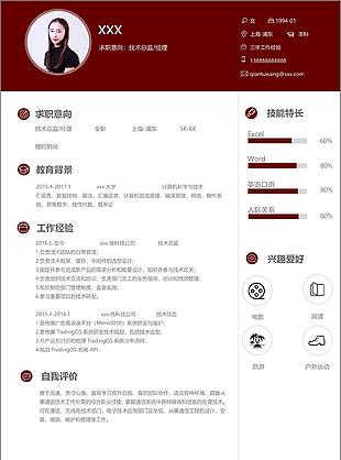 技术总监经理个人简历模板