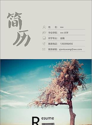 唯美风格全套简历