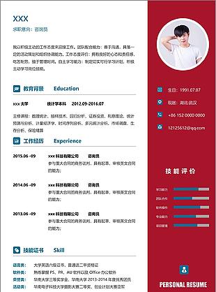 陈正康的咨询员个人工作简历