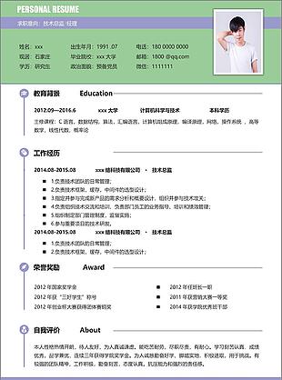 技术总监经理三年经验个人简历范文