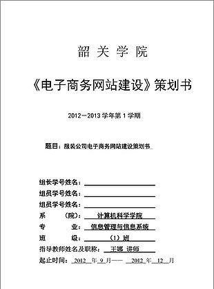 电商网站建设策划书封面word文档模板