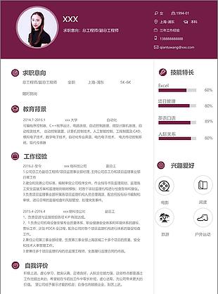 总工程师副总工程师个人简历模板