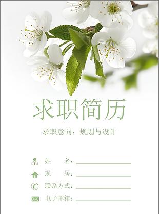 规划与设计工作简历模板范文