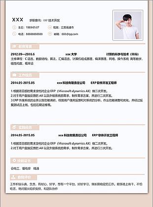 erp技术开发个人简历模板