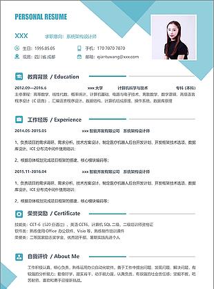 系统架构设计师简历wps模板