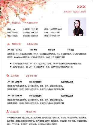 精美高级软件工程师简历个人评价