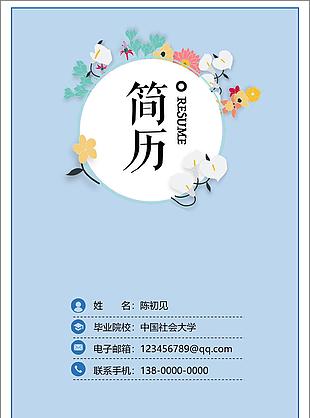 数据仓库个人简历模板