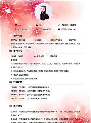 唯美梦幻采购主管个人简历模板