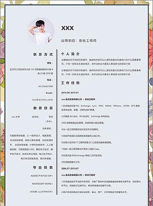 系统工程师13年工作经验应聘简历模板