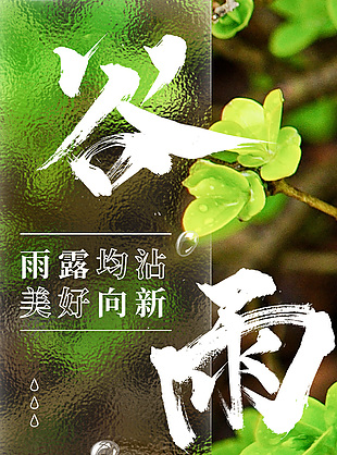 雨露均沾美好向新绿色简约谷雨海报
