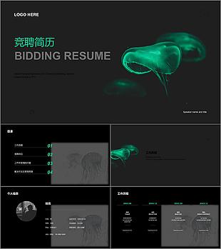 蓝色商务竞聘简历PPT案例
