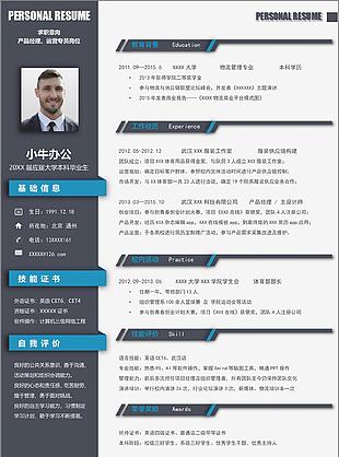 毕业生求职市场销售岗位简历表格信息