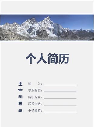 广美网站运营总监个人简历模板