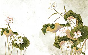 唯美中国风池塘荷花荷叶插画