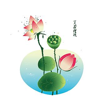 唯美小清新夏日池塘荷花盛开美景