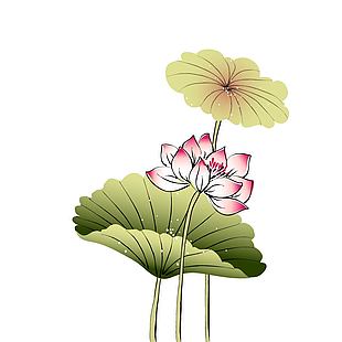 唯美复古风夏日荷花盛开插画