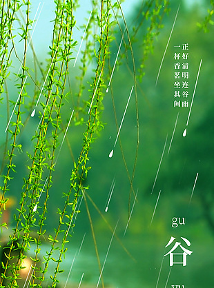 绿色主题湖泊泛舟意境谷雨节气海报