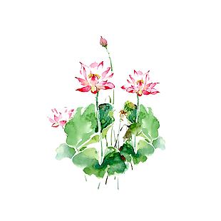 清新中国风水墨荷花插画