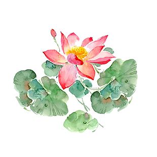 夏日唯美池塘盛开荷花手绘插画