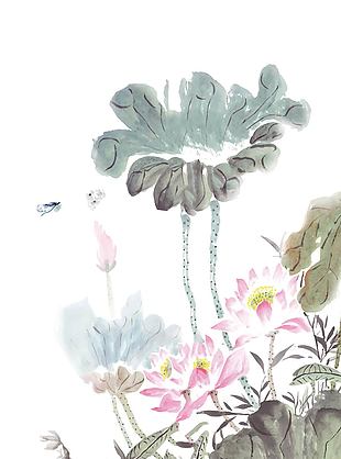 中国风水墨画池中荷花插画