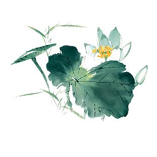 绿色小清新水墨荷花荷叶手绘插画
