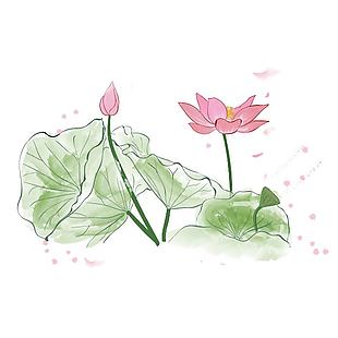 清新可爱唯美池中荷花插画