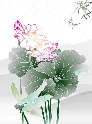 唯美浪漫水墨风池中荷花荷叶插画