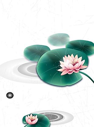 夏日清新池中荷花盛开美景插画