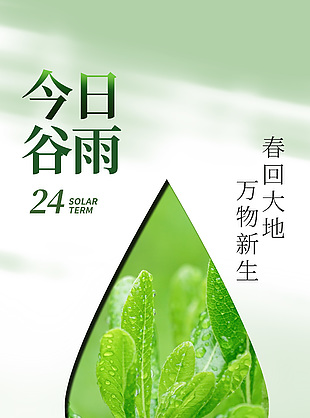 谷雨暮春万物生长简约清新节气海报