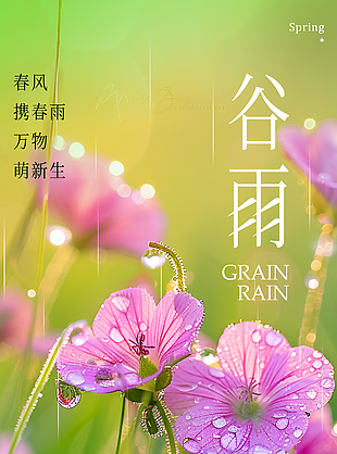 好雨知时节春日花朵主题谷雨海报