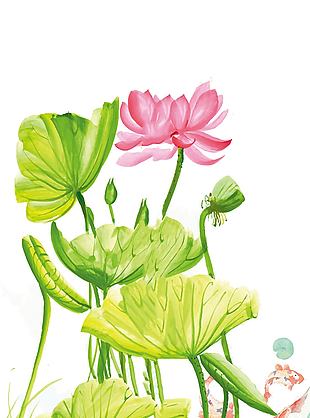 水粉画风美丽荷花矢量插画