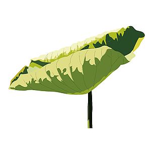 清凉夏日绿色荷叶矢量插画