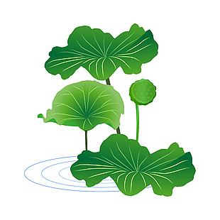 夏日池塘清新绿色荷叶美景插画