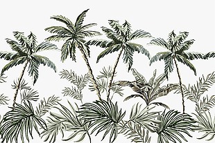 热带风景热带雨林插画