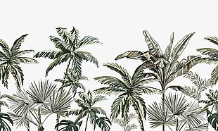 清新唯美热带风景插画