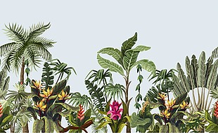 绿色生态热带风景插画