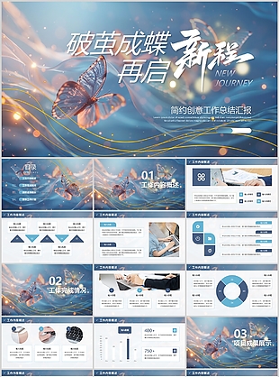 简约创意破茧成蝶工作总结汇报