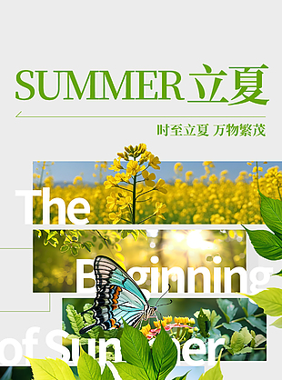 传统立夏时节绿色植物花卉装饰海报