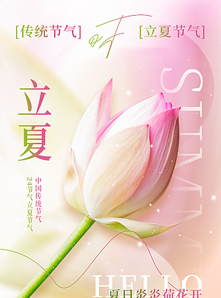 夏日炎炎荷花开传统立夏粉色海报