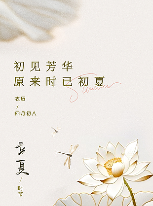 初见芳华时已初夏大气简约立夏海报