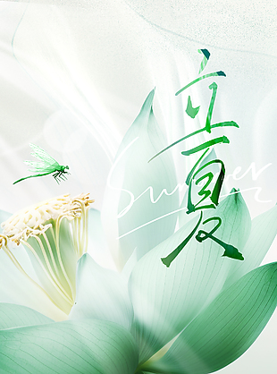 盛夏已至万物尽舒立夏时节绿色海报