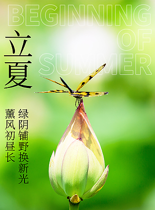 温暖和煦二十四节气立夏海报