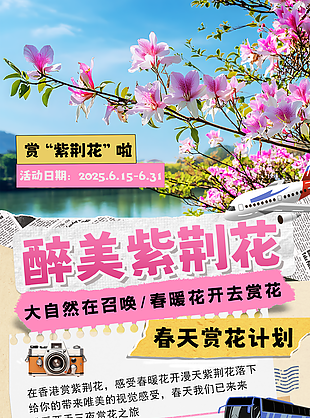 醉美紫荆花粉色主题香港旅游海报