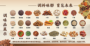 中国风调料展示简约复古横版海报